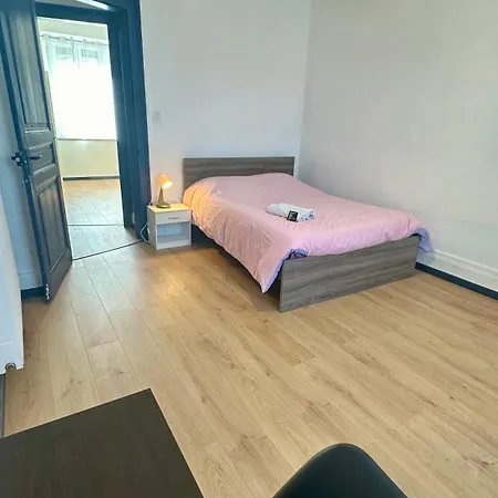 Beau F5 Au Centre De * Mulhouse